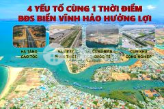 Ban lô biêt thư biên liên hương 236m2 vơi gia 1 ty 625 triêu full thô