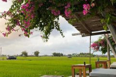 Nghỉ dưỡng quá tuyệt vời trên mảnh đất 2143m2 view đồng lúa tại hòa phong