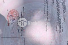 Giảm mạnh 200tr còn 610tr lô đất 196m2, ngay đường tl2, pva, củ chi, sổ sẵn.