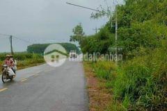 Cần tiền bán gấp đất đường đt 746 diện tích 316m2