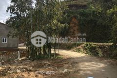 Mảnh đất có diện tích khoảng 1200m2 view săn mây, ngắm ruộng bậc thang siêu đỉnh