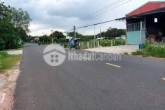 Gia đình chuyển về bắc sinh sống bán hết 239m2 đất gần chợ bàu bàng 480 triệu