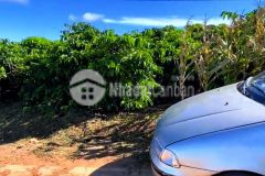 Bán 1000m2 vườn mt đường bê tông có 100m2 thổ cư, view đồi núi đẹp, 680tr. lh0917731808