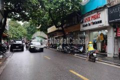 Mảnh đất còn sót lại mặt phố mai hắc đế 80m2 lô góc giá tốt