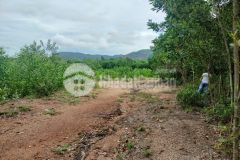 Cực hot 9300m2 đất gần ngay đường lên bà nà giá sập hầm chỉ có 5xx triệu