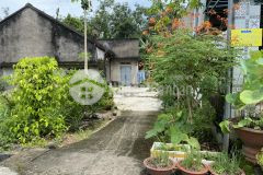 Bán đất chính chủ, dt 5x30, tt võ xu, đức linh, giá 800tr, lh 0906800692