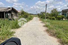 180tr có 383m2 đất cây gần bến phà tân long, tân phú đông, tiền giang