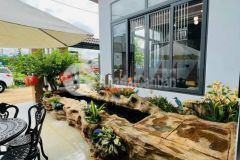 Căn biệt thự mini sân vườn hẻm 147 đỗ xuân hợp p. tân lợi giá 5 tỷ