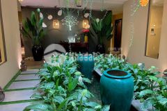 Cho thuê biệt thự sân vườn mặt tiền đường lớn, sầm uất, phù hợp cafe, nhà hàng, spa...