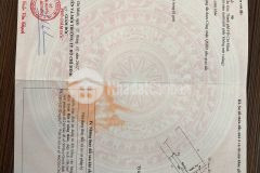 Bán đất đường xe hơi 8m xã lý nhơn, cần giờ 3,8 x 30, giá 1,6 tỷ