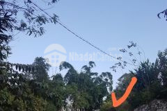 Chính chủ cần bán mảnh đất view ruộng bấc thang đẹp như hoa hậu