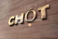 Cho thuê nhà cấp 4 gần trường việt hàn