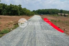 Dì hai cần bán gấp đất thổ cư để đoàn tụ với con trai