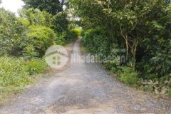 Đất thổ cư dt 1569m2 tại tp tân an, long an giá 3,5 tỷ