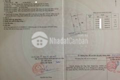 Đất thổ cư lê thị siêng, tân thông hôi, củ chi,146m2, giá ngợp 565tr, sổ sẵn