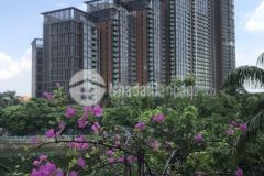 Kim cương của kim cương mặt hồ tây mặt phố quảng khánh 282m2 mt 14m