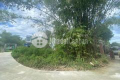 Bán nhanh lô 2 mặt kiệt ô tô hòa phong view đồng lúa cực đẹp giá quá rẻ