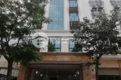 Cho thuê toa nha vp 9 tâng măt phô quan hoa n.khánh toàn dt 190m2. gia 13.000usdtháng