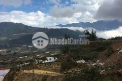 Mảnh đất có diện tích khoảng 1200m2 view săn mây, ngắm ruộng bậc thang siêu đỉnh