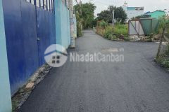 Bán đất hợp xây biệt thự vườn 600m2, 1200m2 thạnh lộc quận 12