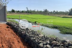 Bán đất 1.3 sào 300m2 thổ cư view suối cánh đồng buôn hdok xã eakao