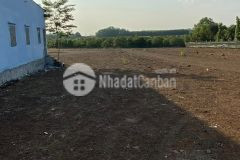 Tt 200tr 100m2 sở hữu ngay lô đất full thổ cư