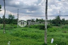 Đất mặt tiền 786m2 400 thổ tp bến tre shr giá đầu tư chỉ 9,5 tỷ. lh0916299345