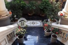 Biệt thự đẳng cấp gỗ đỏ cách mạng tháng 8 tân bình. giá 65 tỷ tl