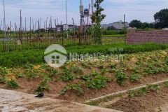 Đất đấu giá x1 dục tú 90m2 phân lô ô tô tránh 46trm2 0375555372