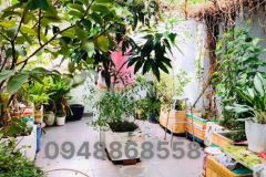 Nhà mặt tiền âu dương lân phường vip q8 hxh quay đầu giảm sâu 10 tỷ tl