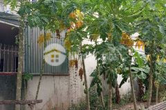 Nhân trạch hà đông bán đất đẹp sổ chính chủ