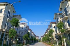 Bán biệt thự song lập giá rẻ bất ngờ