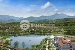 Mở bán biệt thự thung lũng thanh xuân nằm trong rừng thông 50 năm tuổi