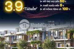 Giá cắt lỗ 30 so với cùng kì 2022