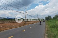 Bán đất 3 mặt tiền thị xã bến cát bình dương 2 hecta giá 110 tỷ