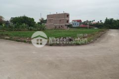 Lô góc đấu giá lương tài văn lâm, 140m, cực đẹp, giá tốt lh 0828218468