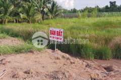 Bán 2975m2 đất mt quy hoạch tmdv và cây lâu năm tại tp bến tre shr 3.8trm2. lh0916299345