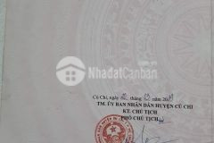 Cắt lỗ 200tr lô đất thổ 263m2 chỉ còn 595tr shr đường cao thị bèo, phước hiệp, củ chi.