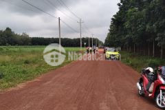 Lô góc đường liên xã số 3, minh lập, giao với đường 5m giá 460 triệu