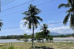 Bán đất biệt thự 8x34m 100 thổ mặt sông cái nha trang cạnh i resort nha trang