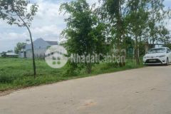 Bán đất lúa đường chợ gà xã đức lập hạ