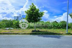 Chủ gửi gi.á tốt hướng đông nam bá.n cặp nền 200m² đường a2 kdc phú an, cái răng, tpct