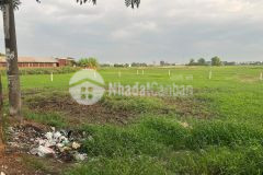 Bán đất mặt tiền lại hùng cường bình chánh dt 53 x 40m giá 32 tỷ