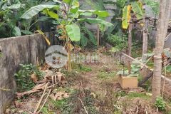 Chỉ 2,2 tỷ mảnh đất vuông cầu diễn. giá thương lượng.