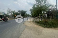 Yếu tố quan trọng để có một bức ảnh đẹp đó là phải có 1 cái nền đắt giá