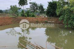 Bán đất hoà sơn lương sơn. dt 4000m view cánh đồng giá rẻ