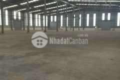 Kho, xưởng cho thuê tại kcn phố nối a. hưng yên