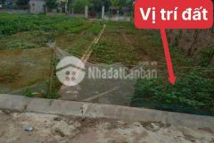 Thuyền xuyên hưng long thị xã mĩ hào hưng yên.lh0965521583