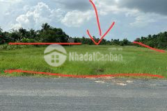 Đất trung tâm 220m2 370tr sổ hồng riêng bàu đồn gò dầu tây ninh.