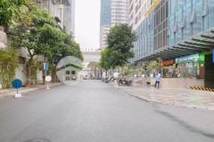 Nhà mặt phố, ngã tử sở, dòng tiền hơn nửa tỷ 1 năm, 25.5 tỷ